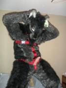 Showing Off A Little Skin~