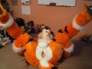 Legs Up And Ready To Go! [M]