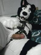 Someone Is Happy To See You! [M]