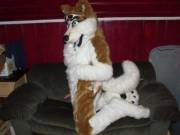 Care To Sit Down? [M]