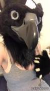 [F] Bird Boobs?! (Gif) (Twitter: @Reallybadcrow)