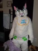 Fluffy Mew [Diaperfur]