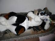 Waiting For You [Diaperfur]