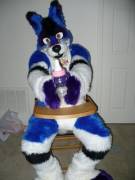 Play Date [Diaperfur]