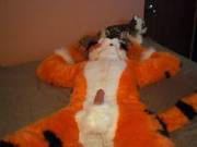 Tyger! Tyger! Burning Bright. [M]