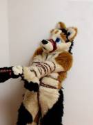 A Little Bit Tied Up Right Now.