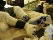 Bondage + Paws = Murr