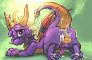 Poor Spyro [M] (Carrot)