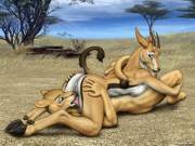 The Lion Wanted To Kill And Eat. The Antelope Wanted Her Privates Licked. One Of ...