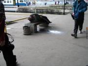 A New Angle (From /R/Wtf)