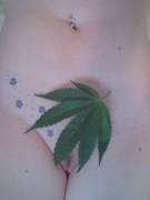 Happy 420 My Naughty Exmo's!