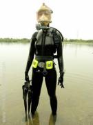 Dive In! [Album In Comments]