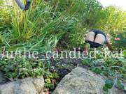 (F27) Just Out Working In The Garden