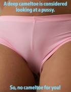 Not Even A Cameltoe For You