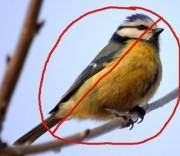 Love This Sub. Needs More Tits