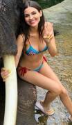 I Can't Stop Jerking Off To Victoria Justice's Amazing Bikini Body