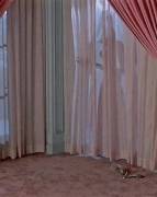 Monique Gabrielle In Bachelor Party