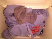 More Airbnb Goodies.