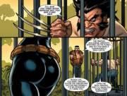 The Only Reason Black Cat Is Here [Claws #1]