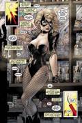 Black Canary By Jim Lee [All Star Barman &Amp;Amp;Amp; Robin #3]