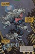The Sexy Black Cat In [Web Of Spider-Man #128]