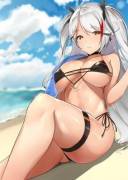 Prinz At The Beach [Azur Lane]