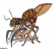 She Should Probably Not Move Around Too Much