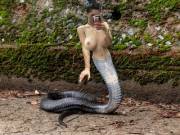 Naga By The-Manimal-Magician