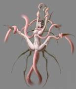 Elise Attacked By Tentacles