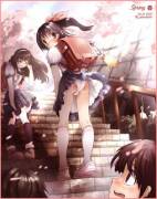 The Wind Reveals All