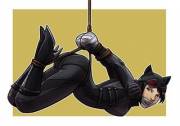 Catwoman Bound &Amp;Amp;Amp; Gagged (Nightglare)