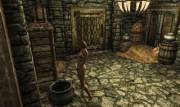My Skyrim Character Tries Her Best To Piss Into A Kettle