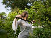 Yoked In The Vineyard [F, Album]