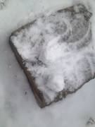 [F]Ucking A Frozen Cock