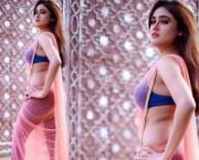 Saree With Salwar And Bra