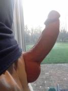 A Perfect Penis (For Me At Least)