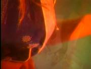 Lusty Busty Dolls-1 Minka And Sana Fey 2