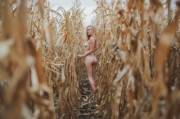 Walk In The Corn Field