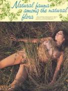 Scan Of A Wwwtw From An Old Hippie/Counterculture Mag