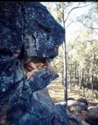 This Pretty Blonde Found A Safe Place To Nap