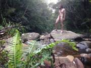 Freedom In New South Wales.