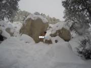 Naturalnatures Movement Has Begun! Let's Make This World A Better Place One Step ...