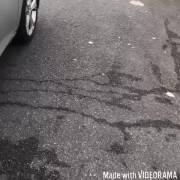 Get Out Of The Car Naked On The Road [Gif]