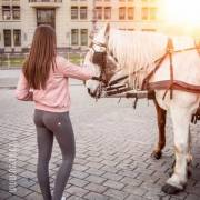 To Bad That Horse Can't See