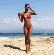 A Thin, Fit, Full Breasted Helga Lovekaty On The Beach.