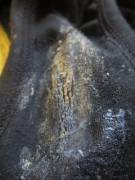 Been Grooling These Up For 5 Days 