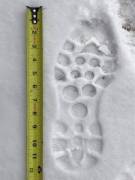 Can Anybody Id This Shoe Based On It's Tread?