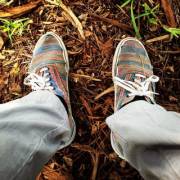 My Favorite Pic Of My Favorite Pair Of Vans.