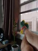 Nice Socks On A Rainy Midwest Day.