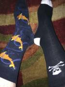 Omg, Just Found My New Subreddit... May I Present, Coy Pirate